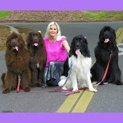 Profile Picture of Mandy Walters (@mandywalters6172) on Youtube