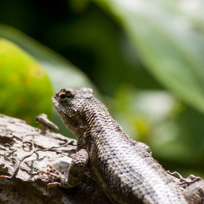 Profile Picture of Joseph McCullen (@Mccullen2021) on Twitter