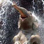 Profile Picture of Brenda Kline (@ktmkmgma) on Instagram