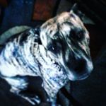 Profile Picture of blake hurt (@blake_hurt) on Instagram