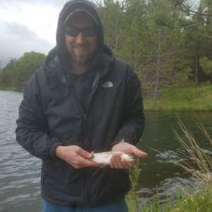 Profile Picture of Dave Lauer (@DaveDave71) on Twitter