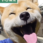 Profile Picture of Peter Kuo (@peterkuo93) on Flickr