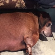 Profile Picture of Daniel Ponte (@danielponte5676) on Youtube