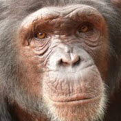 Profile Picture of Sean Tyree (@seantyree7699) on Youtube