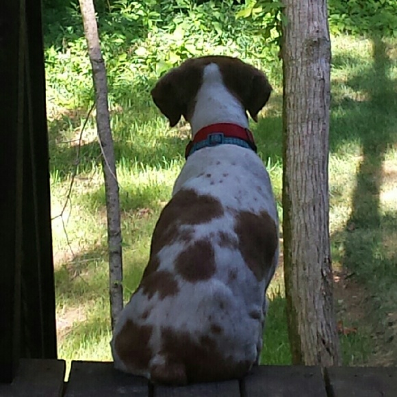 Profile Picture of Lydia Lormand (@lydiarlormand) on Poshmark