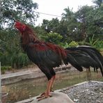 Paj Rizal - Facebook Profile Picture of Paj Rizal (@paj.rizal.3) on Facebook