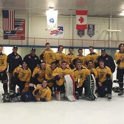 Profile Picture of Joel Gagné (@avspuck) on Twitter