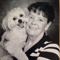 Profile Picture of Violet Knight (@violet-knight-4) on Quora