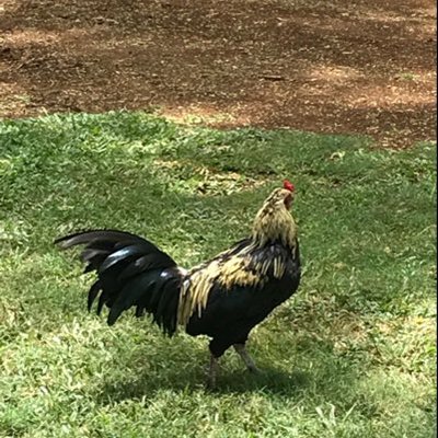 Profile Picture of Samuel Odell (@samuelodell11) on Twitter