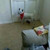 Profile Picture of Darrian Baldwin (@@darrianbaldwin) on Tiktok