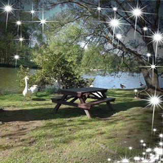 Profile Picture of Dorothy Manning Perrier (@dorothy.manningperrier) on Facebook