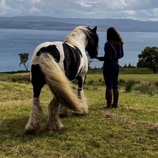 Profile Picture of 𝓡𝓸𝔀𝓪𝓷 (@rowan_hayes) on Instagram