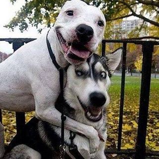 Sandy Ponder - Facebook Profile Picture of Sandy Ponder (@sandy.ponder.5) on Facebook