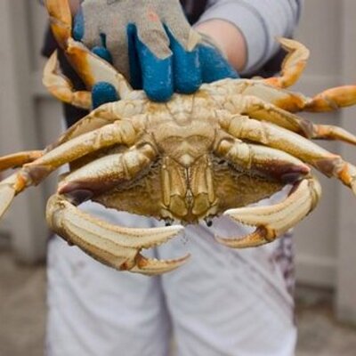 Profile Picture of Andy Sanborn (@_ando) on Twitter