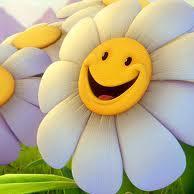 Daisy Flower - Twitter Profile Picture of Daisy Flower (@DaisyFl34350393) on Twitter