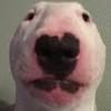 Profile Picture of Benjamin Wheat (@@theguildofglizzy) on Tiktok