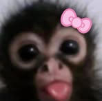 Profile Picture of Alexcia Scroggins (@Alexcia-Scroggins) on Facebook