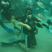 Profile Picture of Joey Mejia (@joeymejia1174) on Youtube