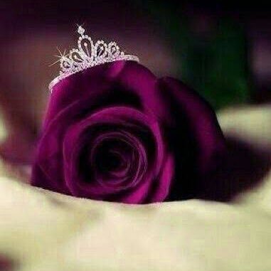 Profile Picture of ROSALIN MAHAPATRA🇮🇳 (@sachirose) on Twitter