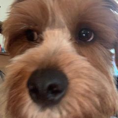 Profile Picture of Robbie (@robertabashore) on Tiktok