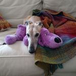 Nina OConnor - Instagram Profile Picture of Nina OConnor (@msbettay) on Instagram