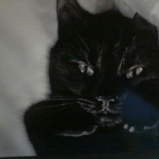 Profile Picture of Steven Friedrichs (@Steven-Friedrichs) on Facebook