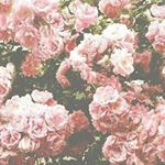 Profile Picture of David Abela (@bhoxzdavid_y) on Instagram