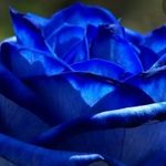 Profile Picture of Fusaro vincenza (@fusarovincenza) on Instagram