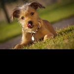 Profile Picture of vicki_hoffmanq (@vicki_hoffmanq) on Instagram