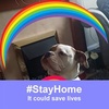 Profile Picture of Jean Maddison (@@jeanmaddison) on Tiktok