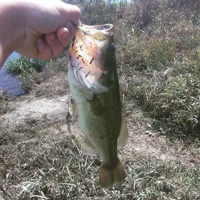 Profile Picture of Matthew. Eakes (@EakesMatthew) on Twitter