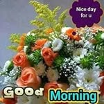 Profile Picture of 1 follower (@glasgow_joan) on Instagram