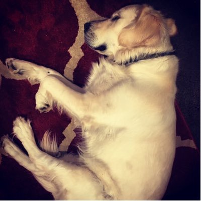 Profile Picture of Robert Perrier (@robperrier) on Twitter
