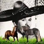 Profile Picture of Jonathan Becerril (@jonathan.becerril.96780) on Instagram