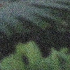 Profile Picture of Bruflot (@Bruflot) on Twitter