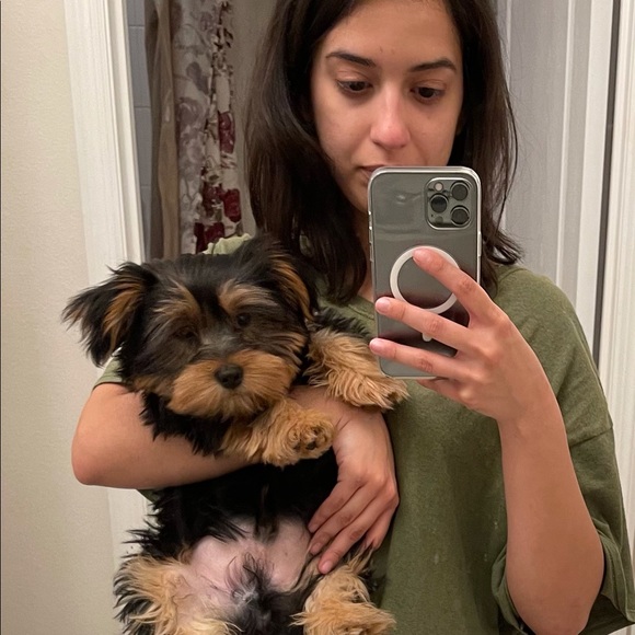 Profile Picture of Sarah Boechat dornas (@sboechatd) on Poshmark