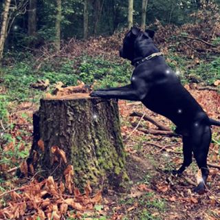 Profile Picture of Ethan Piette (@ethan.piette.9) on Facebook