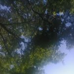 Profile Picture of Beverly Clay (@beverly.clay.944) on Instagram