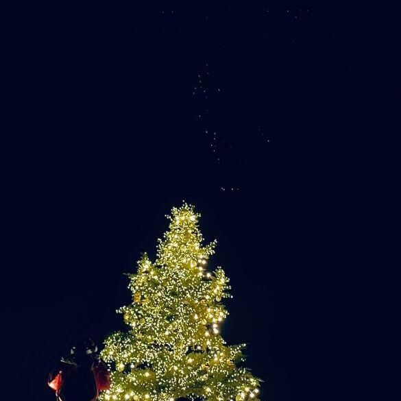 DawnFrederick - Tiktok Profile Picture of DawnFrederick (@mayervzt950) on Tiktok