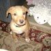 Profile Picture of Patrick Signorelli (@ncc1star) on Pinterest