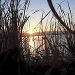 Profile Picture of Jason Parish (@jasonparish.jp) on Instagram