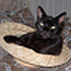Profile Picture of Chris and Shell (@Chris and Shell) on Flickr