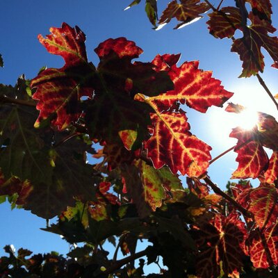 Profile Picture of Debra Janda Bryan (@DebraBryan820) on Twitter