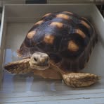 Profile Picture of Nancy Hicks (@nancy.hicks.56863) on Facebook