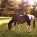 Profile Picture of Brenda Conroy (@Brenda-Conroy) on Facebook