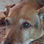 Profile Picture of Adam (@adam_morad123) on Instagram