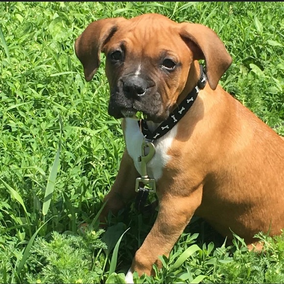 Profile Picture of Jason Jipson (@jipson1977) on Poshmark