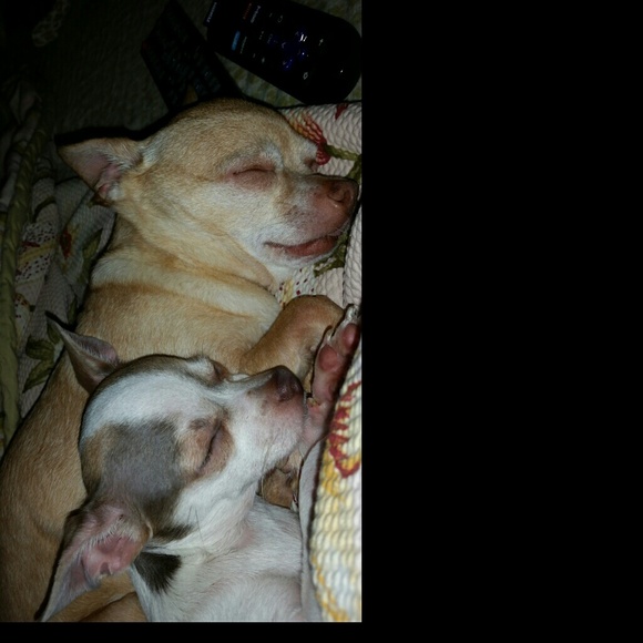 Profile Picture of Marci Durieux (@marcid0013) on Poshmark