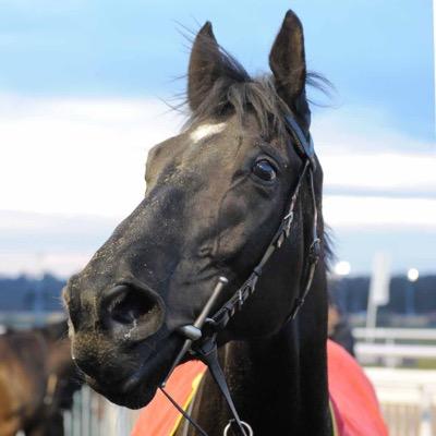 Profile Picture of Ben Hubble (@Ayrton_Benna) on Twitter