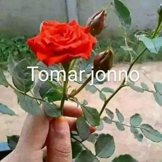 Profile Picture of Fazlul Hoque (@Fazlul-Hoque) on Facebook